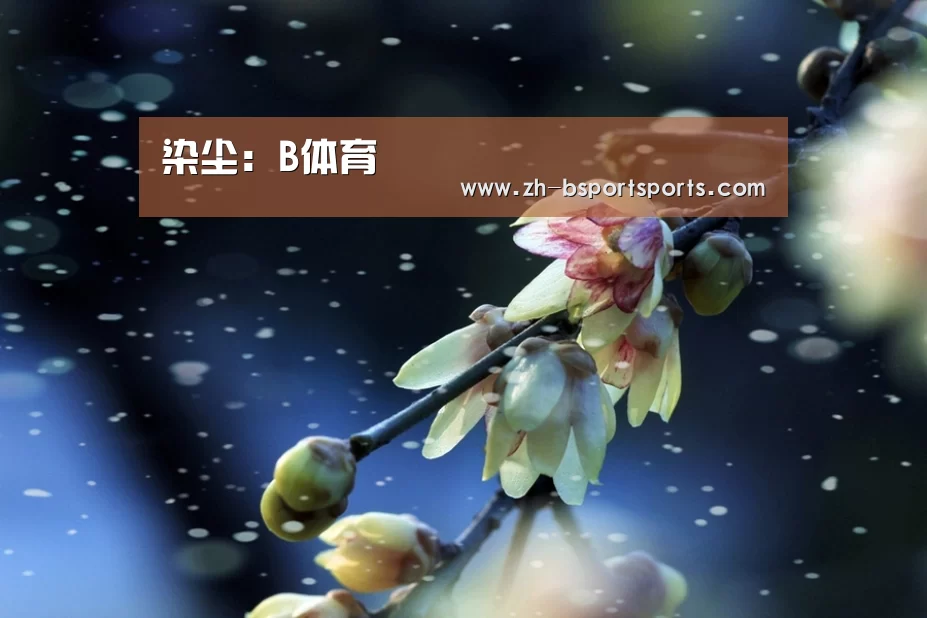 B体育