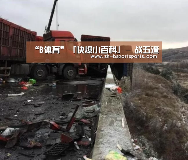 “B体育”「快爆小百科」- 战五渣(图1) B体育