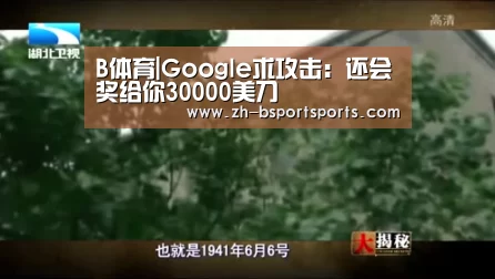 B体育|Google求攻击:还会奖给你30000美刀(图2) B体育
